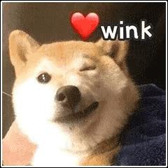 DƬ